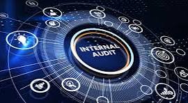 Internal Audit  Software